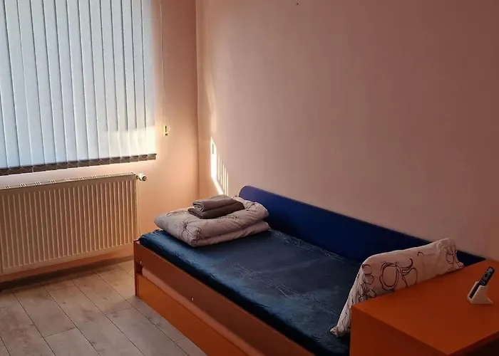 за гости мира